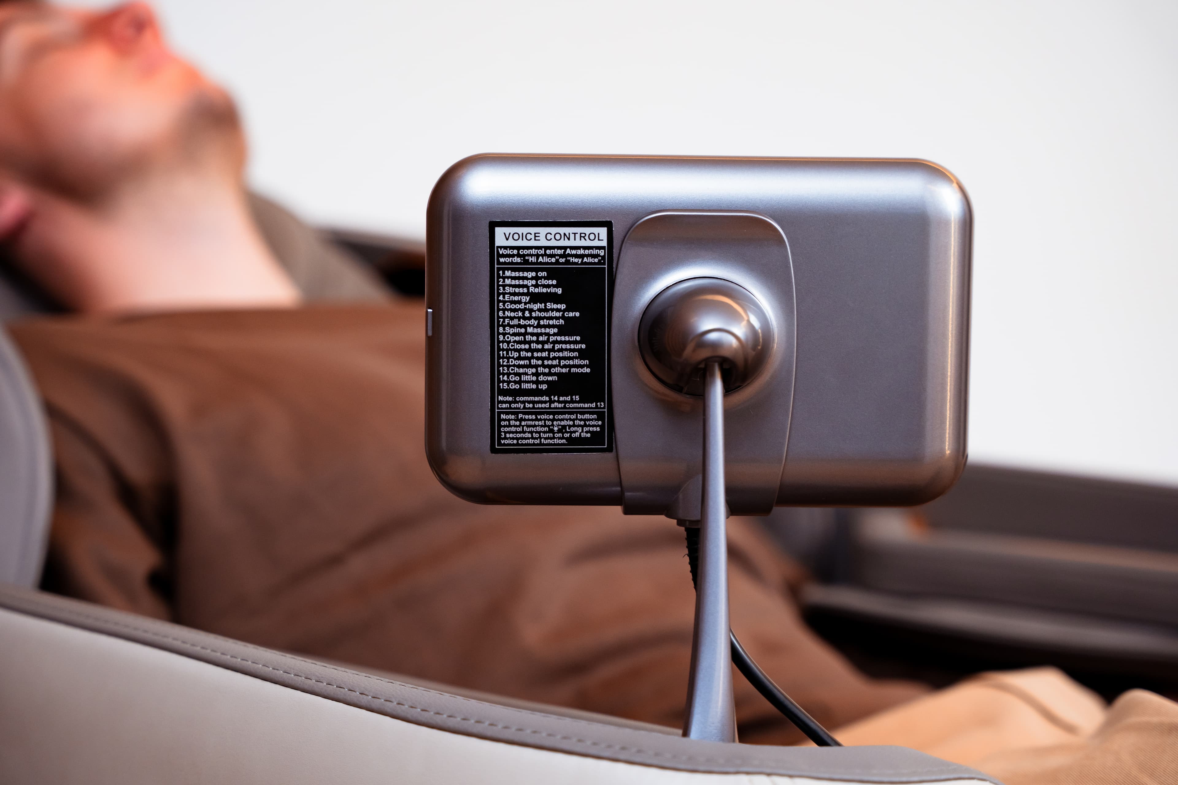 Voice command