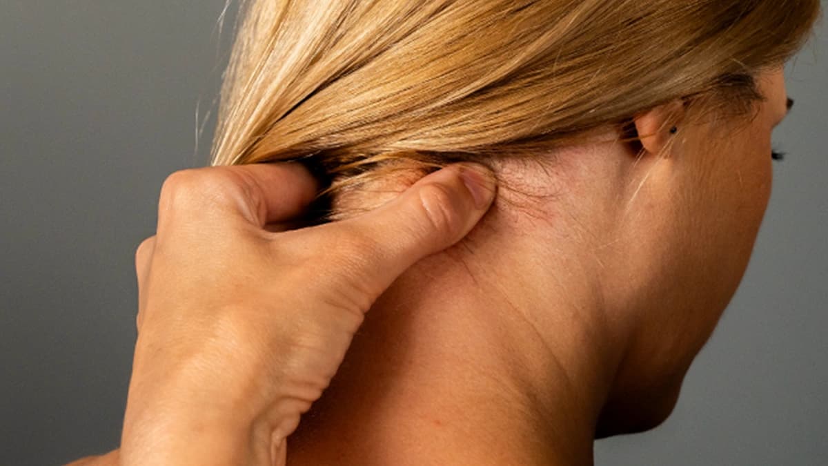 neck.webp